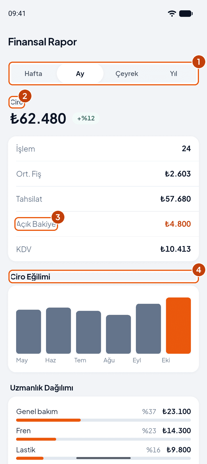 Finansal rapor